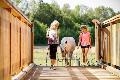 (Wo)man-Power für mehr Horse-Power: Tiergestützte Therapie für Kinder und Familien